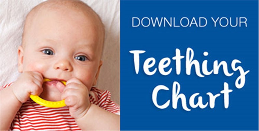 Download your Teething Chart